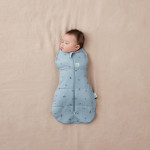 ErgoPouch Βρεφικός Υπνόσακος Cocoon Swaddle Bag Dragonflies 2.5 tog  0-3m BR77827