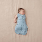 ErgoPouch Βρεφικός Υπνόσακος Cocoon Swaddle Bag Dragonflies 2.5 tog  0-3m BR77827