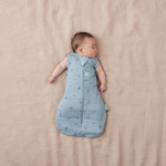 ErgoPouch Βρεφικός Υπνόσακος Cocoon Swaddle Bag Dragonflies 2.5 tog  0-3m BR77827