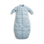 ErgoPouch Βρεφικός Υπνόσακος Dragonflies Sleep Suit ΜΜ 2.5 Tog 8-24m BR77854