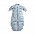 ErgoPouch Βρεφικός Υπνόσακος Dragonflies Sleep Suit ΜΜ 2.5 Tog 8-24m BR77854